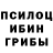 Галлюциногенные грибы GOLDEN TEACHER Bayan Aigozhina
